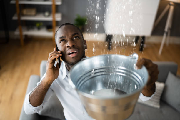 Best Water damage cleanup near me  in Hartington, NE
