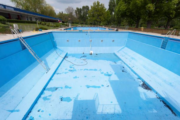 Best Carpet water damage restoration  in Hartington, NE