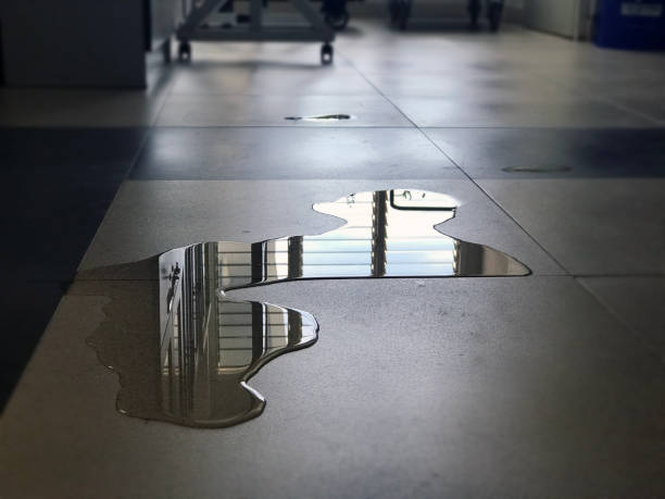 Best Water damage restoration near me  in Hartington, NE
