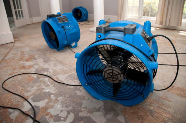 Best Water damage repair service  in Hartington, NE