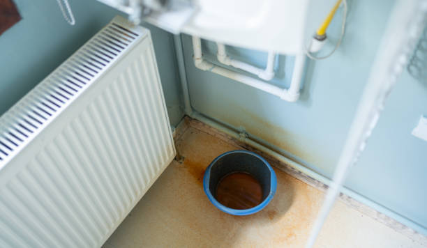 Trusted Hartington, NE Water damage restoration Experts