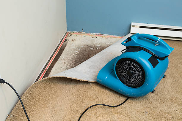 Best Flooded house restoration  in Hartington, NE